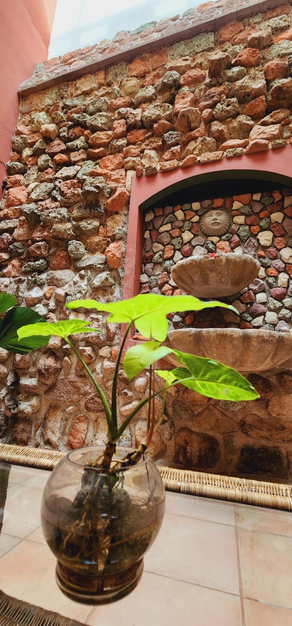 Hotel Alsacia Tegucigalpa Bagian luar foto